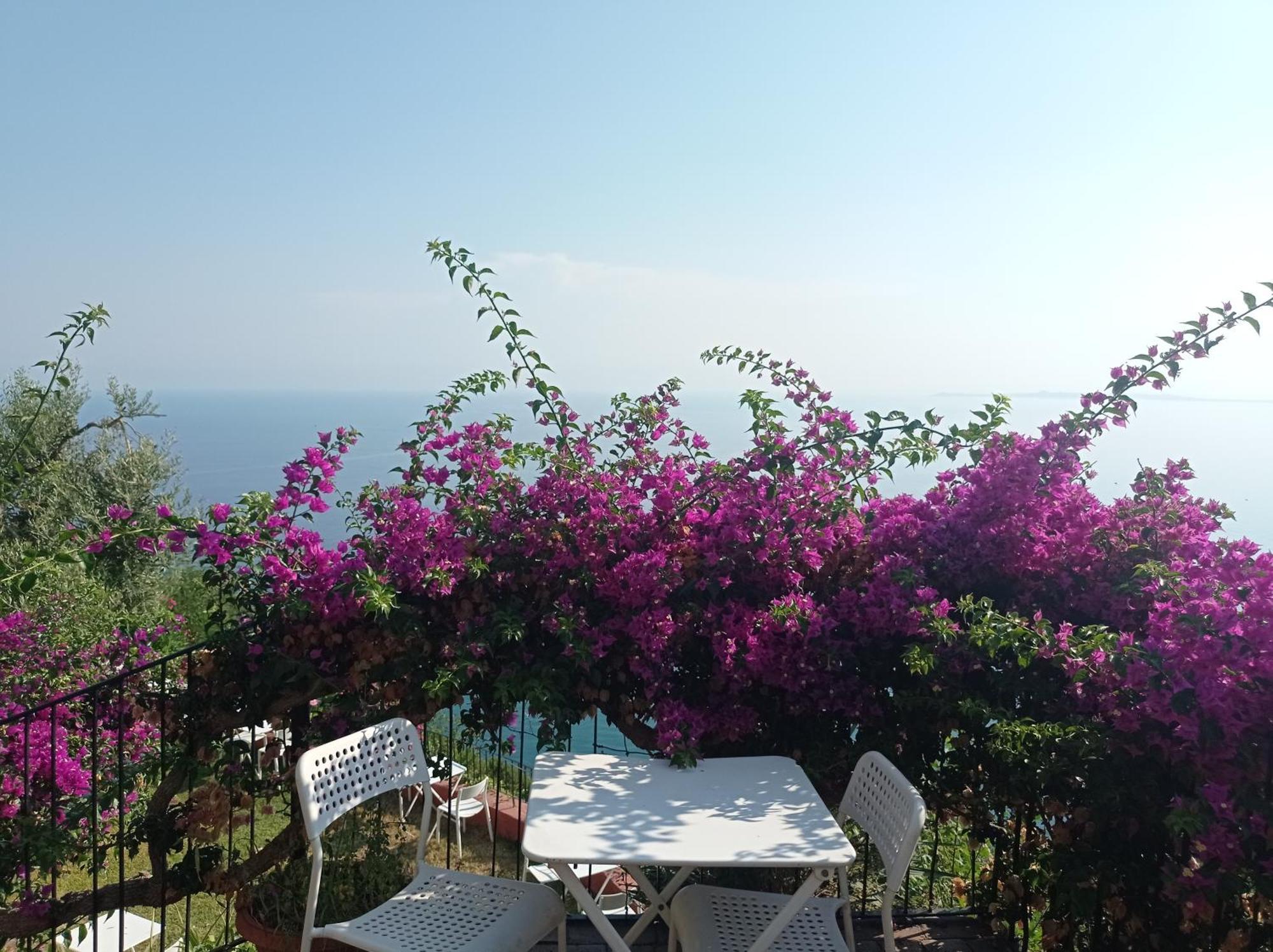 Mansarda Con Terrazzo Vista Mare Βίλα Oliveri Εξωτερικό φωτογραφία